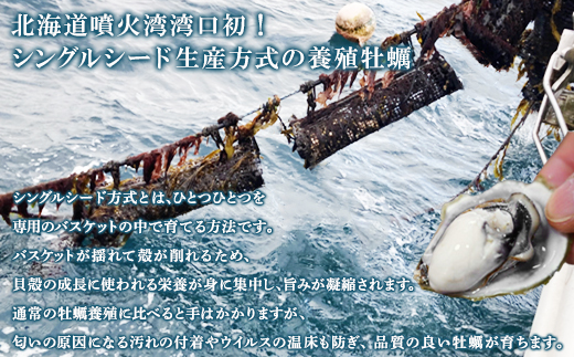【先行予約】 2026年6月上旬発送 北海道産 生牡蠣 殻付き 1kg (15～18個) 生食 シングルシード　牡蠣 かき カキ