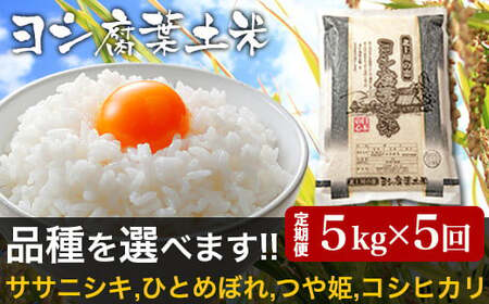 令和5年産＜定期便＞ヨシ腐葉土米 精米25kg（5kg×5回発送）ササニシキ