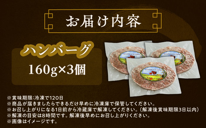 北海道 北十勝 短角牛 ハンバーグ 160g×3個《足寄町》【北十勝ファーム】肉 ハンバーグ 牛肉 赤身 和牛 160g ギフト 十勝 北海道産 道産 あしょろ 北海道 [BEAI004]