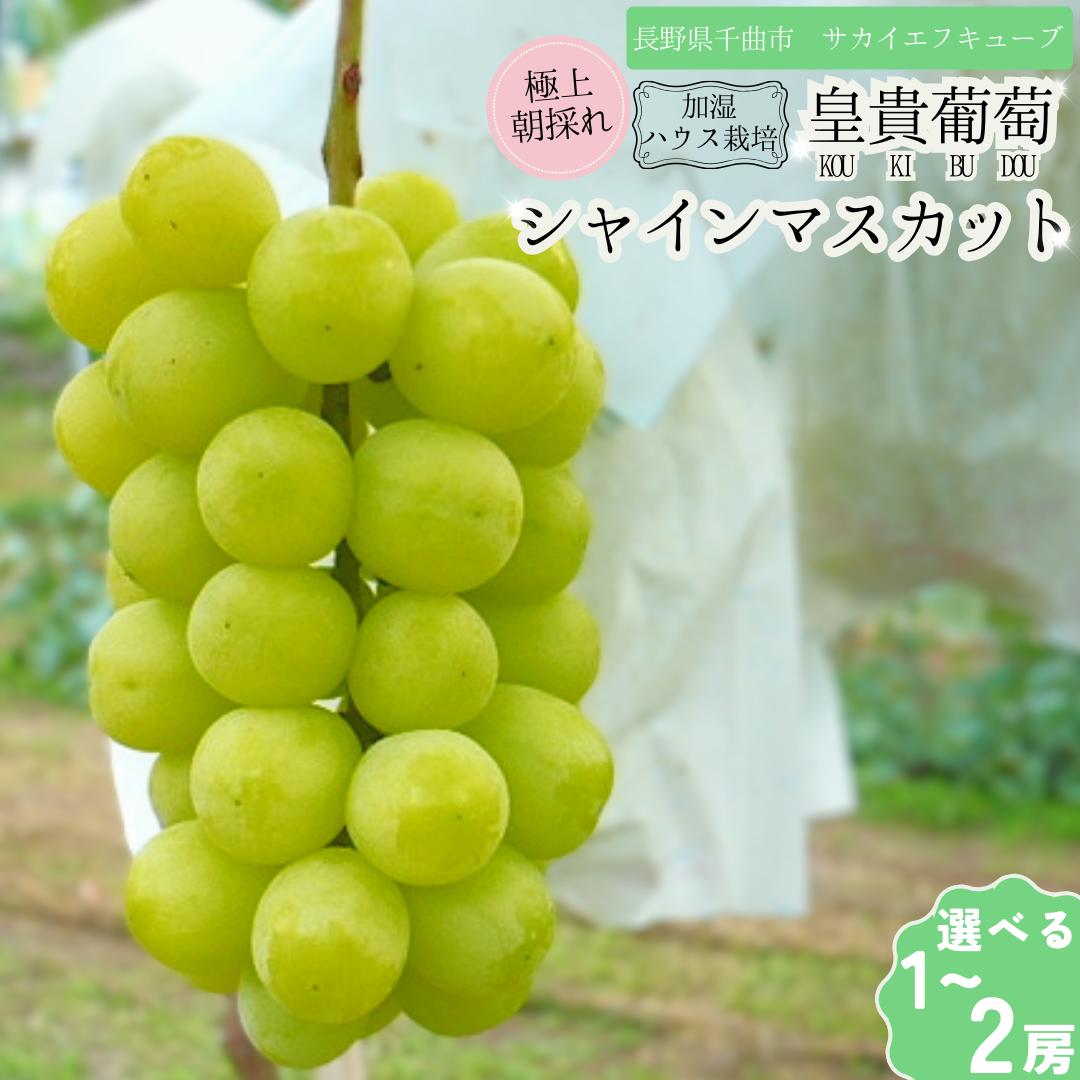 【ふるさと納税】【2025年先行予約】シャインマスカット お中元 加湿ハウス栽培 最上級品 1房 2房 ｜ 果物 フルーツ 白ぶどう シャインマスカット ギフト 種無し 千曲市 長野県産 信州