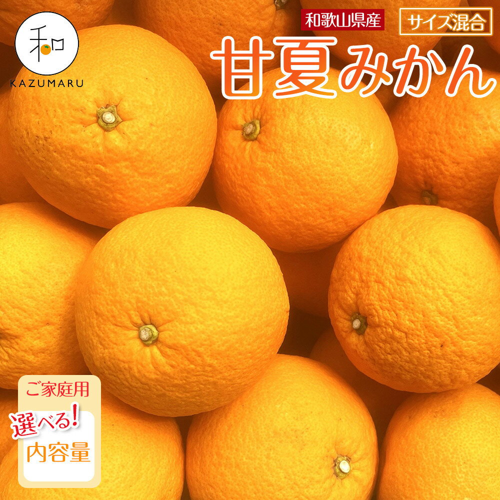 【ふるさと納税】【選べる容量】家庭用 森本農園の手選別 甘夏みかん 約4.5～10kg 和歌山県産 サイズ混合 ［北海道・沖縄・離島配送不可］［2026年4月上旬から順次発送］ | みかん 蜜柑 フルーツ 果物 くだもの 食品 人気 おすすめ 送料無料