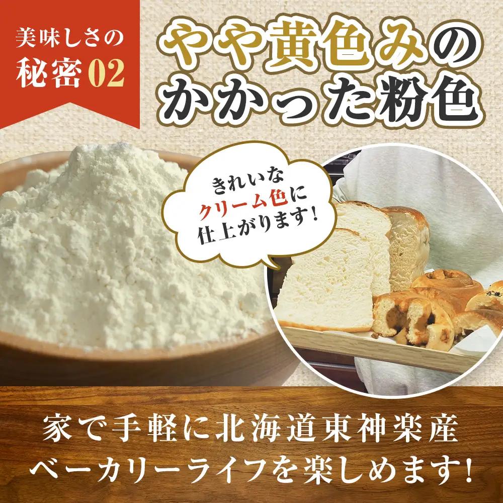 東神楽産キタノカオリ100（5kg）