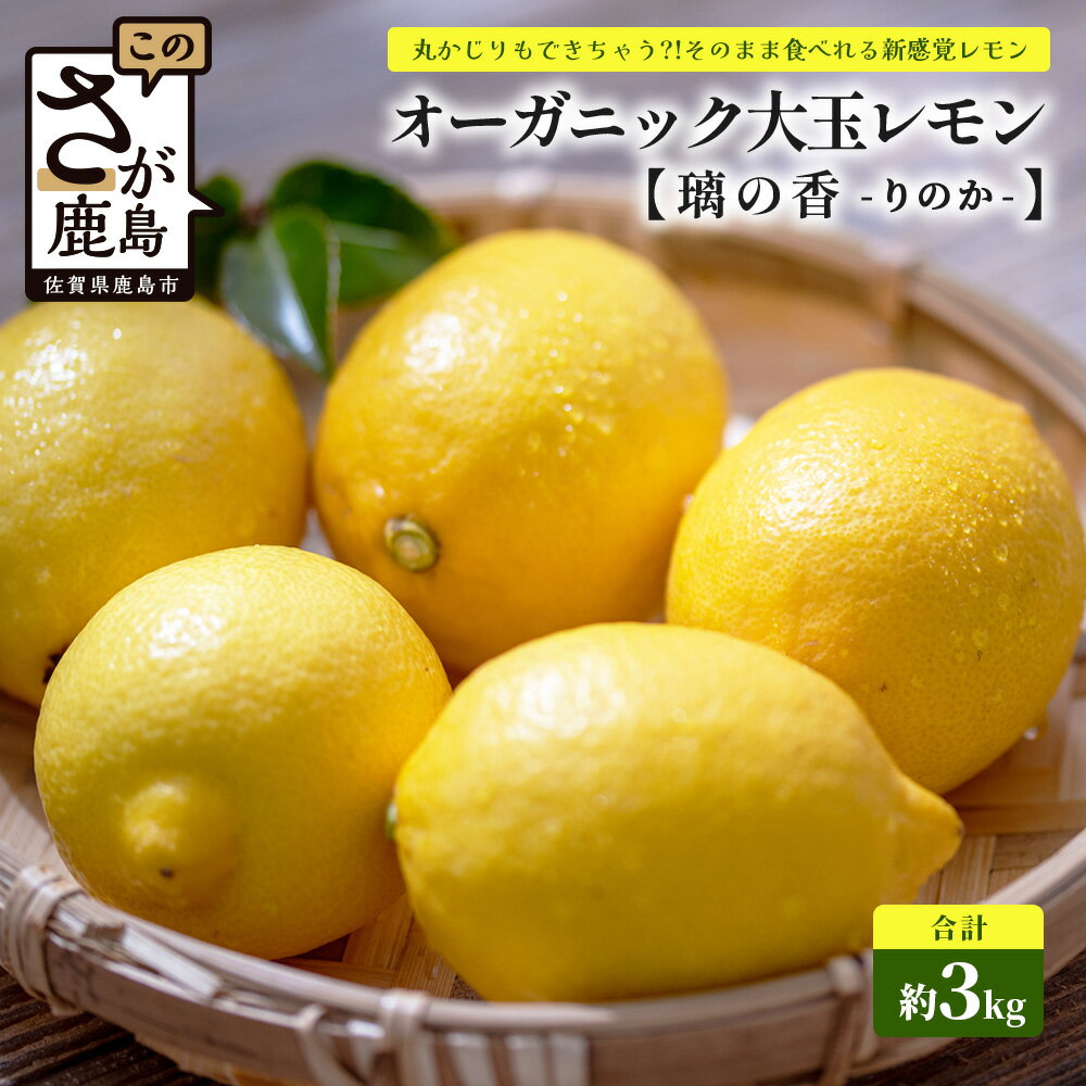 【ふるさと納税】国産 オーガニック大玉レモン (璃の香) 約3kg レモン 檸檬 れもん 料理 菓子 お酒 生搾り サワー 薬味 安心安全 佐賀県 鹿島市 ふるさと 人気 送料無料 B-879