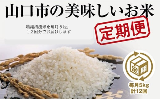 A078 山口の美味しいお米定期便　5㎏×12回（白米）