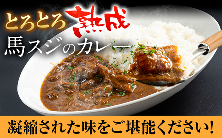 たっぷり！馬スジカレー 10食セット《60日以内に出荷予定(土日祝除く)》馬スジ カレー お肉 馬すじ カレーライス 馬肉 贈答 ギフト グルメ お取り寄せ 熊本県 津奈木町 送料無料 個包装 大人気