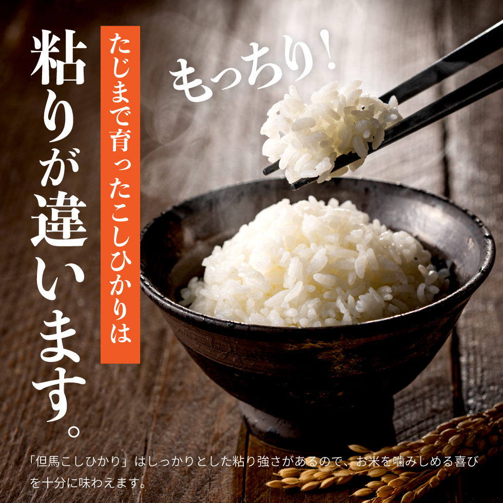 令和7年産 但馬産 コシヒカリ 特Aランク 10kg / 兵庫県産 こしひかり 産地直送 新鮮 お米 米 精米 白米 コメ こめ ご飯 ごはん ライス 送料無料 おにぎり お弁当 和食 洋食 コウノト