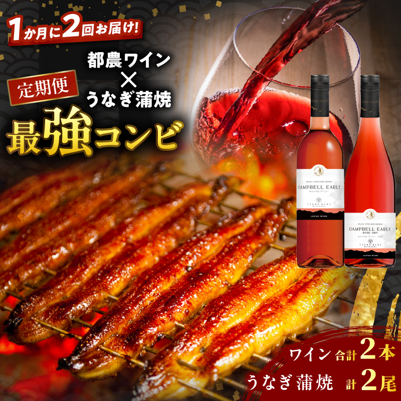 ≪定期便≫＼1か月に2回お届け!!／都農ワイン×うなぎ蒲焼★最強コンビ_T999-0035【酒 飲料 鰻 魚介 国産 人気 ギフト 食品 お酒 飲み比べ 惣菜 高級 お土産 贈り物 送料無料】