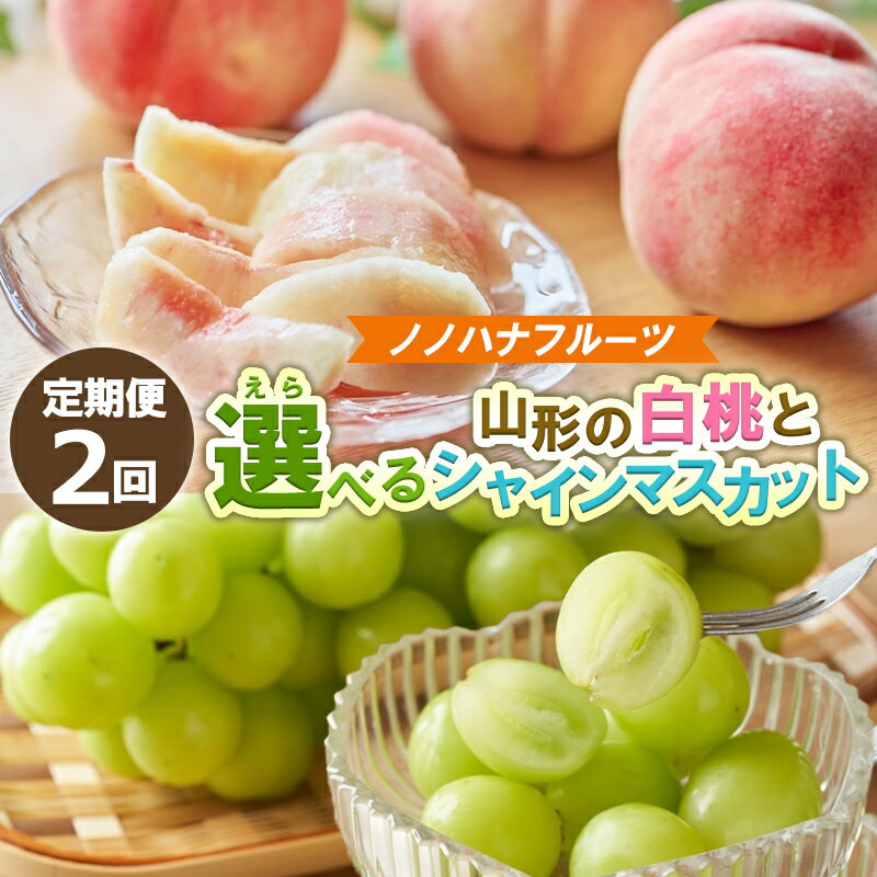 【ふるさと納税】【定期便2回】選べる 桃とシャインマスカット 【令和8年産先行予約】FS25-073 FS25-074 FS25-075