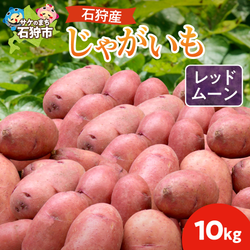 石狩産 じゃがいも（レッドムーン） 10kg【9月発送】｜野菜 芋 北海道 石狩市