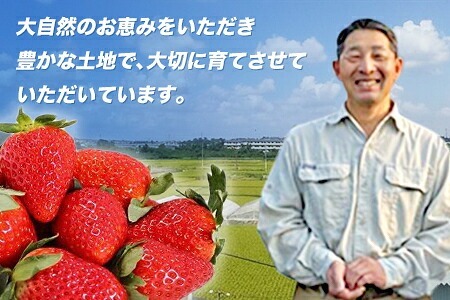 和だや『ならあかり』250g×4パック