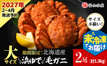 【2027年発送予約】チルドでお届け！ 浜茹で毛ガニ大サイズ２尾（不揃い合計約1.3kg） 〈福士水産〉