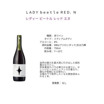 ふるさと納税 甲州市 フジクレールワイナリー LADY beetle RED.N　750ml |  | 01