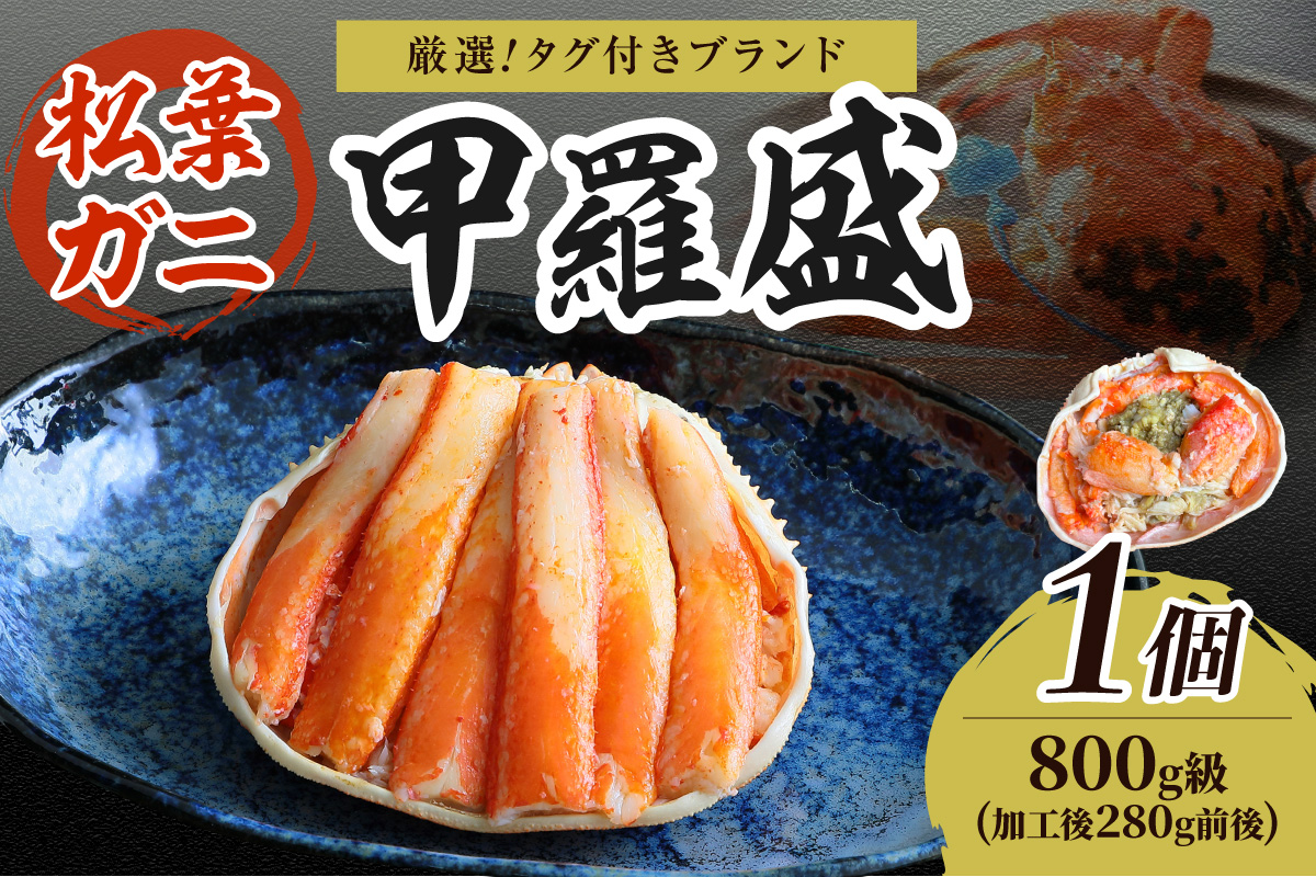 【厳選！タグ付きブランド蟹】松葉ガニ甲羅盛 1個（800g級）　YK00566