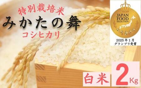 P15　白米 2Kg コシヒカリ「 みかたの舞 」 特別栽培米 【 こしひかり コシヒカリ 特別栽培米 お米 米 白米 精米 ブランド米 2キロ 兵庫県産 兵庫県 ジャパンフードセレクション 最高賞 グランプリ 】