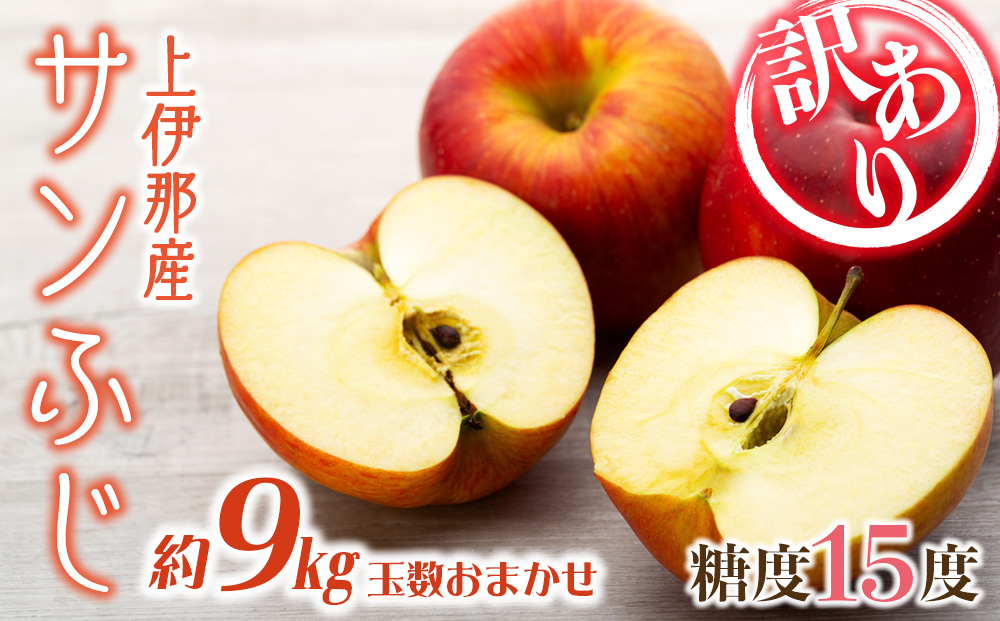 【訳あり】上伊那産サンふじ 約9kg　玉数おまかせ