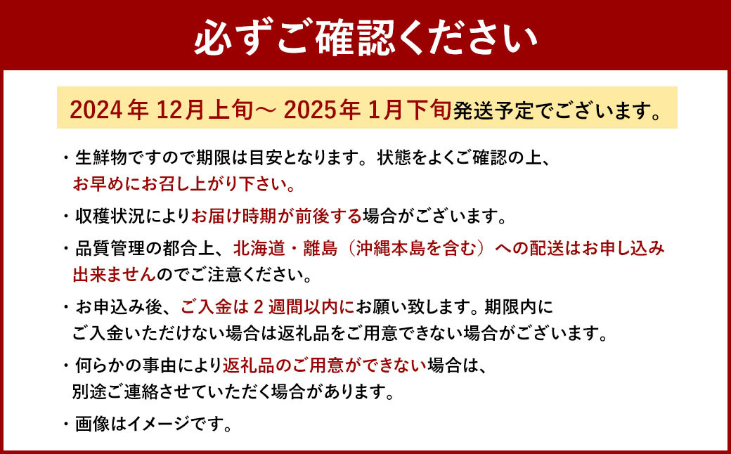 博多あまおう2パック（冬）