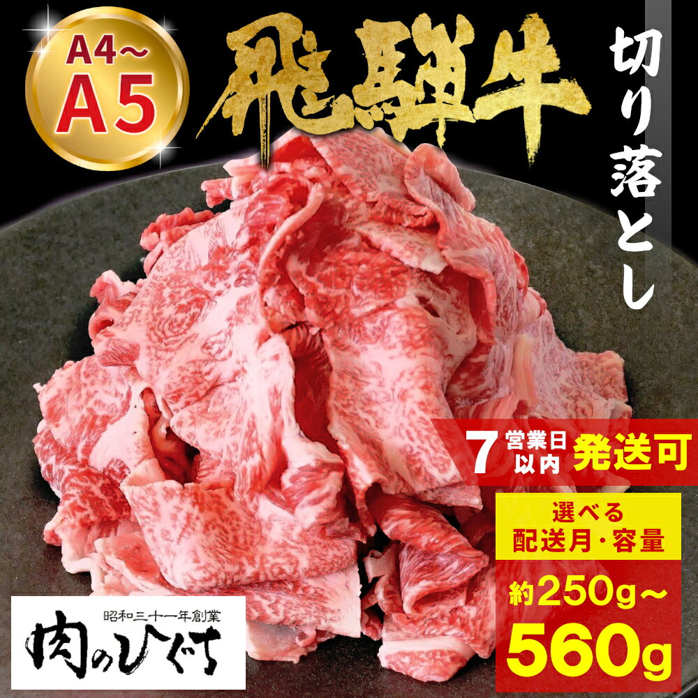 【ふるさと納税】【容量・発送月が選べる】 飛騨牛 切り落とし 250g 560g A5 A4 国産 牛 冷凍 お試し 和牛 黒毛和牛 牛肉 切落し 切り落し 訳あり 牛丼 すき焼き しゃぶしゃぶ 岐阜 飛騨 贅沢 霜降り ロース バラ もも ウデ 肉のひぐち 5000円 五千円 10000円 一万円