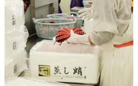 【かねいし商店】タコ 蒸したこ 1尾 約1kg