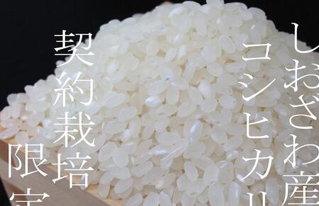 【令和7年産】契約栽培限定 南魚沼しおざわ産コシヒカリ10Kg【2025年10月上旬より順次発送予定】