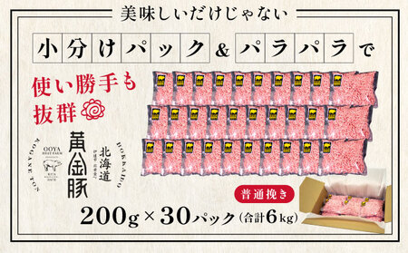 北海道 豚ひき肉 普通挽き 200g 30パック 計6kg【ooy-006】