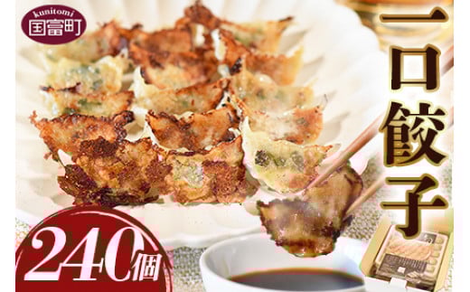 ＜一口餃子 240個入り＞翌月末迄に順次出荷【 餃子 ぎょうざ ギョウザ ギョーザ 宮崎餃子 宮崎 一口餃子 大明神 鶏肉 豚肉 野菜 居酒屋 おつまみ 晩御飯 お供 ビール 焼酎 ハイボール だれやめ 弁当 冷凍 白菜 ギフト 贈答用 】
