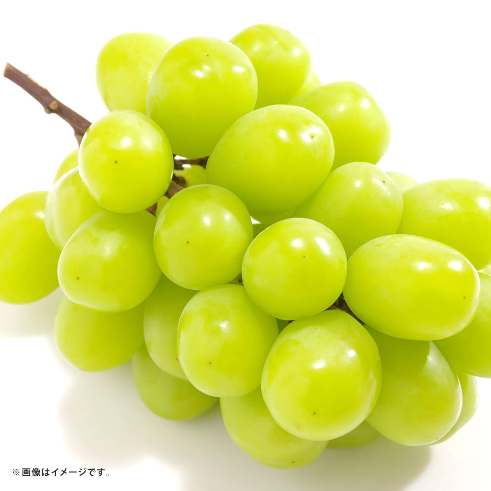 【ふるさと納税】＜選べる内容量＞ シャインマスカット ぶどう 4パック（約1.2kg） / 3～6房（約1.8kg） / 6～12房（約3.6kg） ブドウ 葡萄 フルーツ くだもの 果物 果実 デザート 冷蔵 熊本県産 国産 熊本県 熊本市 送料無料 【2027年7月下旬～8月下旬発送予定】