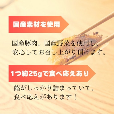 創業昭和五十三年　すすきの　冷凍にんにく生餃子　25g×11個　6パック　計66個【餃子のタレ付き】【配送不可地域：離島・北海道・沖縄県・四国・九州】