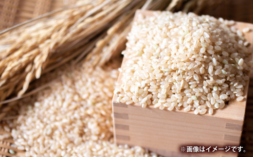 【令和6年産】奈義の清流米 コシヒカリ 玄米 5kg 【2025年9月下旬迄発送予定】 米 お米 おこめ コメ 国産