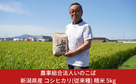 先行予約 新潟県三条市産 コシヒカリ（従来種) 精米 5kg 令和7年産 2025年産 こしひかり [農事組合法人いのこば]【015S196】