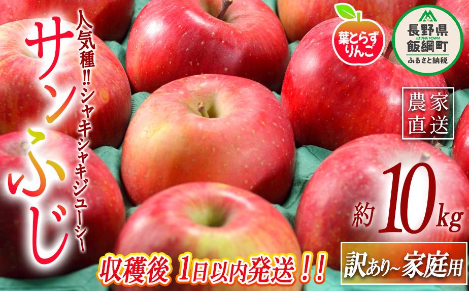 【 フレッシュ便 / 採れたて発送 】 りんご 葉とらず サンふじ 家庭用 〜 訳あり 10kg フレッシュフルーツミカズキ 2025年11月中旬頃から2025年11月下旬頃まで順次発送予定 令和7年度収穫分 傷 不揃い リンゴ 林檎 果物 フルーツ 信州 長野 30000円 予約 農家直送 長野県 飯綱町 [1675]