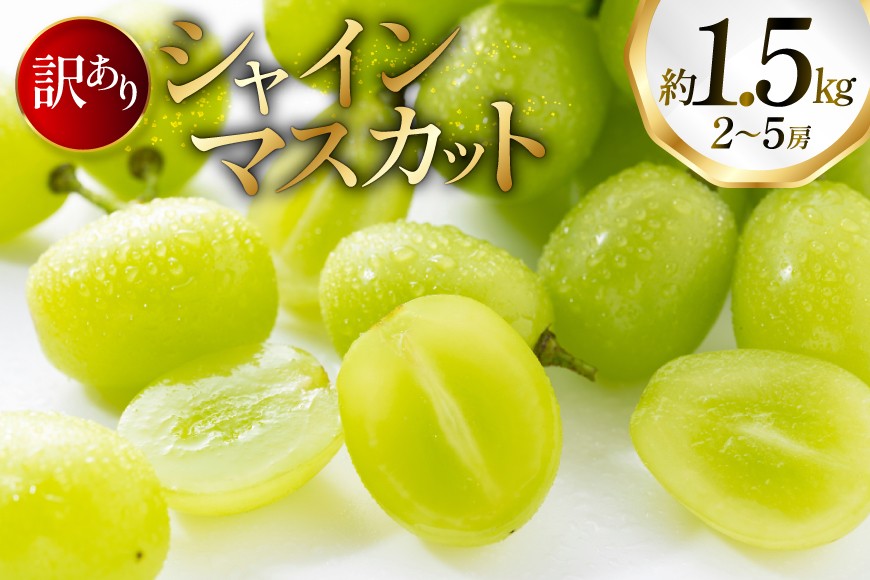 
            【期間限定発送】 シャインマスカット 訳あり 2～5房 約1.5kg [oboco grapes 山形県 高畠町 tk06ayt250004] ぶどう ブドウ 葡萄 ご家庭用 フルーツ 果物 くだもの 1.5キロ 甘い
          
