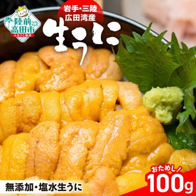 ふるさと納税 陸前高田市 【先行受付】 三陸産 生うに 100g 塩水パック 獲れたその日に出荷 ウニ 雲丹 天然 濃厚 旬