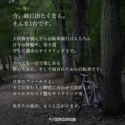 ふるさと納税 京都市 【VIGORE】山と旅の自転車プラス GRX820(2×12速)(自転車,オリジナル自転車) |  | 01