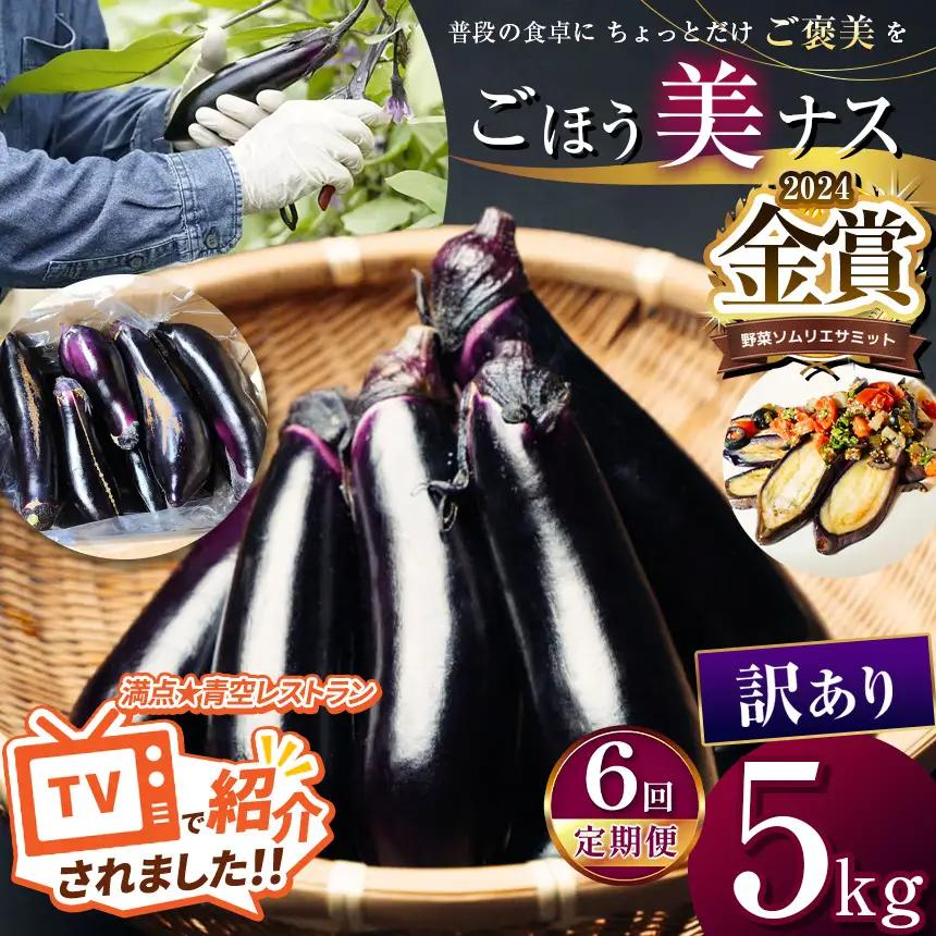 【定期便6回】農家さん応援！訳ありごほう美ナス 約5kg