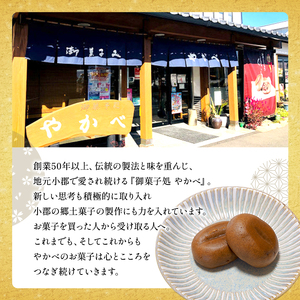 和菓子 コーヒー饅頭 傍ら 10個 セット 詰め合わせ 和菓子コンテスト全国1位 お菓子 菓子 おやつ デザート スイーツ まんじゅう 饅頭 珈琲まんじゅう 珈琲饅頭 福岡 福岡県 小郡市