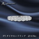 【ふるさと納税】ARC-EN-CIEL PTダイヤリング ダイヤ計0.70ct