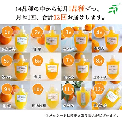 【発送月固定定期便】みかん寒天ゼリー定期便〜毎月1品種10本 全12回【H25−147】【4012160】