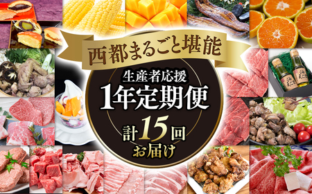 12月31日終了【季節の定期便】西都まるごと堪能セット　シルバーコース　1年定期便　令和7年1月発送開始＜20-8＞