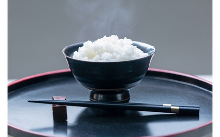 こしひかり 精米 10kg 奥伊勢茶（5g×20）3袋 （2g×40）3袋 ／ 積木商店 お米 お茶 三重県 大台町 285