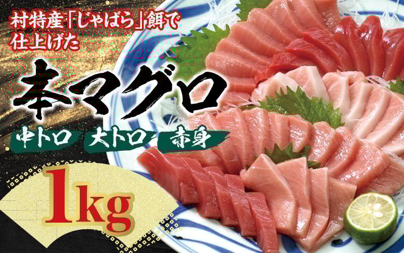
            【発送時期が選べる！】 本マグロ（養殖）トロ＆赤身セット 1kg / 北山村 人気 No.1 マグロ まぐろ 鮪 本まぐろ クロマグロ 中トロ とろ 赤身 柵 刺身 海鮮 鮮魚 魚 魚介 海の幸 冷凍【nks105-cho】
          