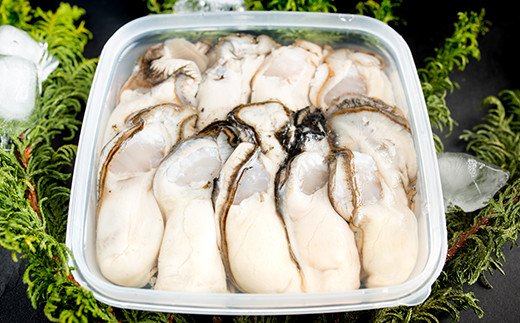 鮮度抜群！釧路管内産濃厚むき牡蠣（生食用）200g×1、300g×1 ふるさと納税 かき 牡蠣