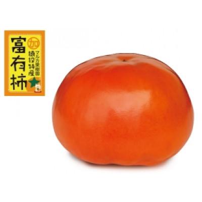 ふるさと納税 豊田市 【先行受付】富有柿　約3.7kg【2025年11月上旬以降順次発送】