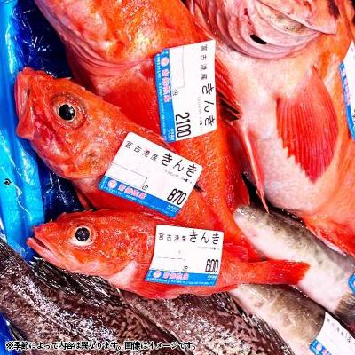 ふるさと納税 宮古市 【三陸厳選】岩船商店おまかせ海産物詰め合わせセット |  | 02