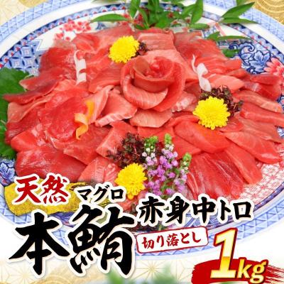 ふるさと納税 室戸市 高豊丸 天然本マグロ (赤身・中とろ) 切り落とし 100g×10パック 1kg