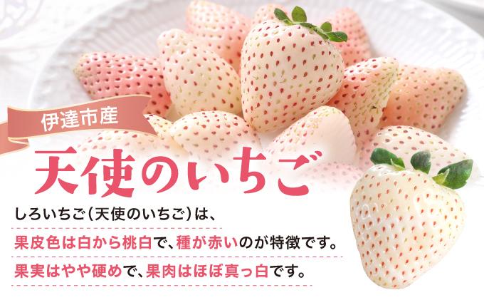 ＜先行予約＞ 北海道 伊達市 天使のいちご（S～Lサイズ 25～35個） すずあかね（Mサイズ30個またはLサイズ24個）【55250948】苺 イチゴ スイーツ デザート 果物 甘い 赤 白 鮮やか