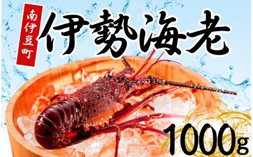 伊勢海老セット[Ｂ] 【いせえび 伊勢海老 伊勢海老 鮮魚 海老 えび 人気 名産 高級 おすすめ 数量限定 贈答 静岡県 南伊豆 伊豆 】　<AG-12>