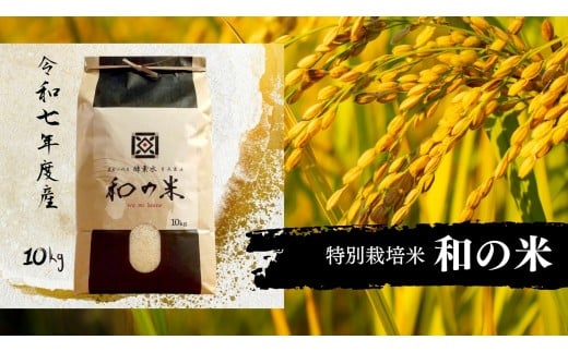 《 令和7年産 》和の米　「酵素米」　玄米10kg ／ 米 こめ コメ お米 おこめ コシヒカリ こしひかり 和の米 酵素米 特別栽培認証 新米 玄米 ごはん ご飯 令和7年産 10kg 茨城県 利根町 送料無料