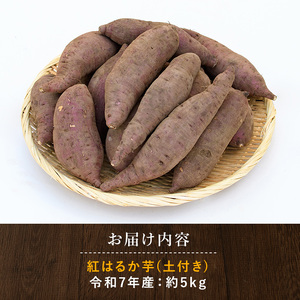 鹿児島県産 紅はるか 芋 約5kg 岡村商店 A-113 サツマイモ さつまいも