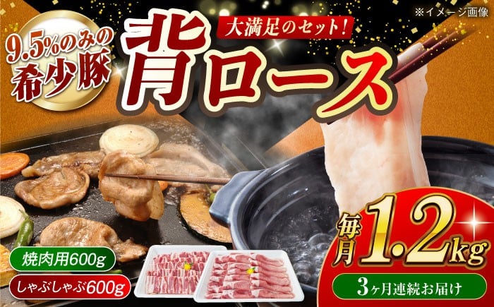 
            【月1回約1.2kg×3回定期便】大西海SPF豚 背ロース（焼肉＆しゃぶしゃぶ用）計約3.6kg 長崎県/長崎県農協直販 [42ZZAA081]
          