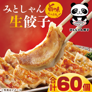 旨味たっぷり！本場プロの中華料理人が作る みとしゃん生餃子 60個【香香 シャンシャン 中華 人気 老舗 焼き餃子 冷凍 ぎょうざ ギョーザ シューマイ簡単調理 惣菜 おかず 水戸市 茨城県】（CS-3）